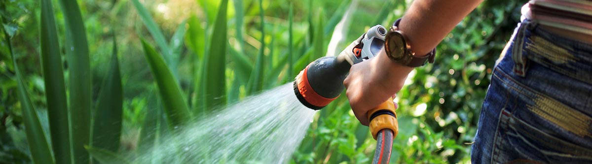 Choose the Perfect Garden Hose